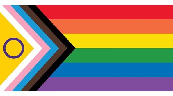 diversity flag.jpg